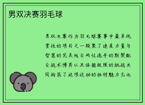 男双决赛羽毛球
