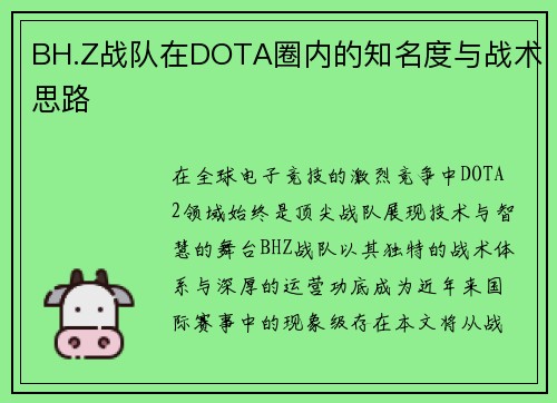 BH.Z战队在DOTA圈内的知名度与战术思路